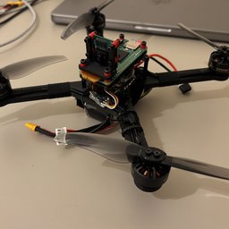 The AVIAN quadrotor