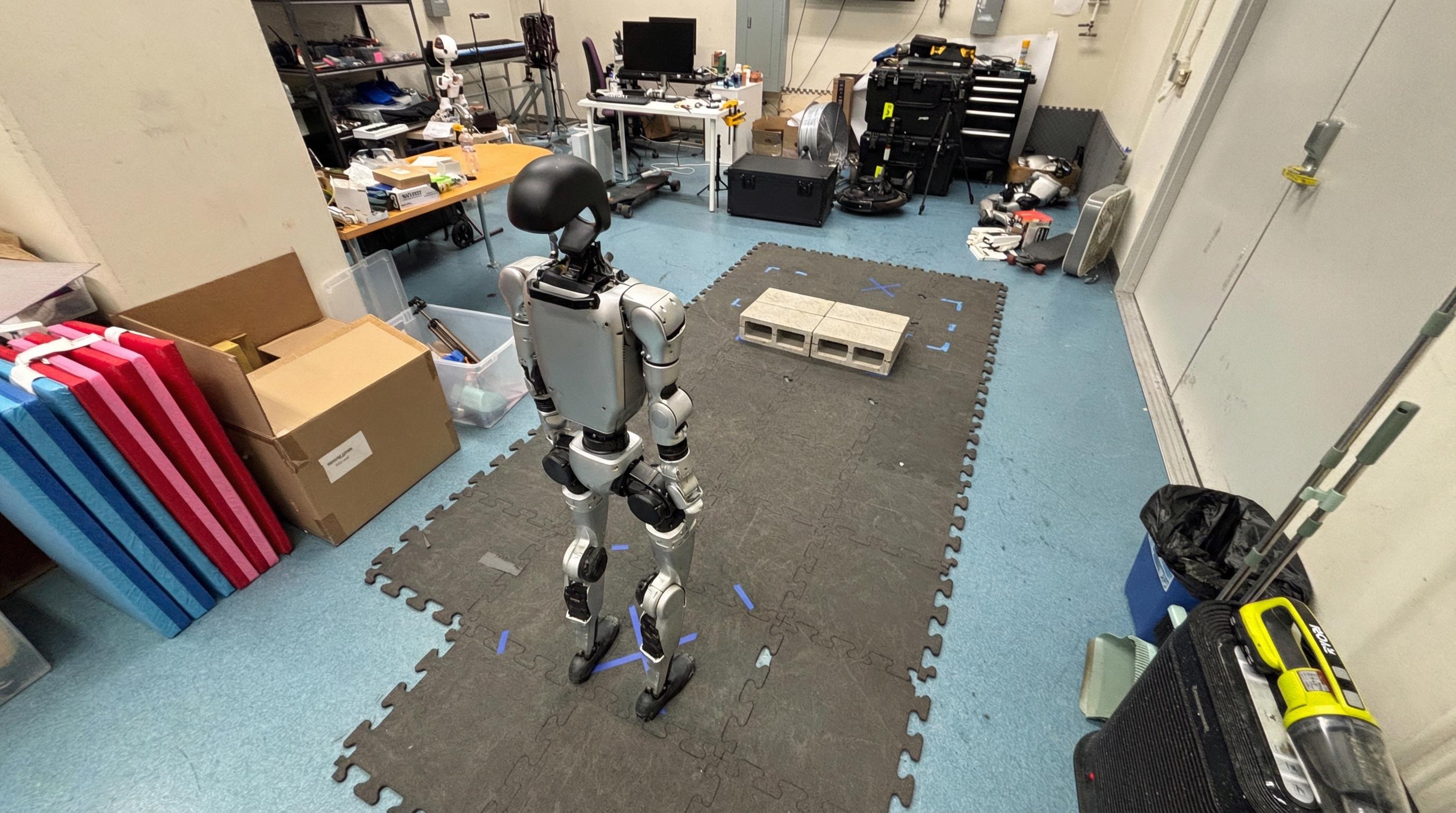 Initial image used as the input for the generated task video